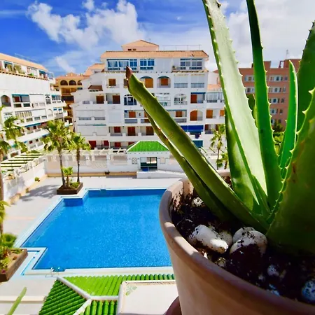 39 All Year Sun & Pool / Ac - Wifi * Torrevieja